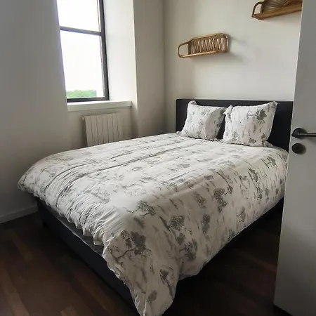 Superbe Rue Royale - Gregoire Apartment Lille